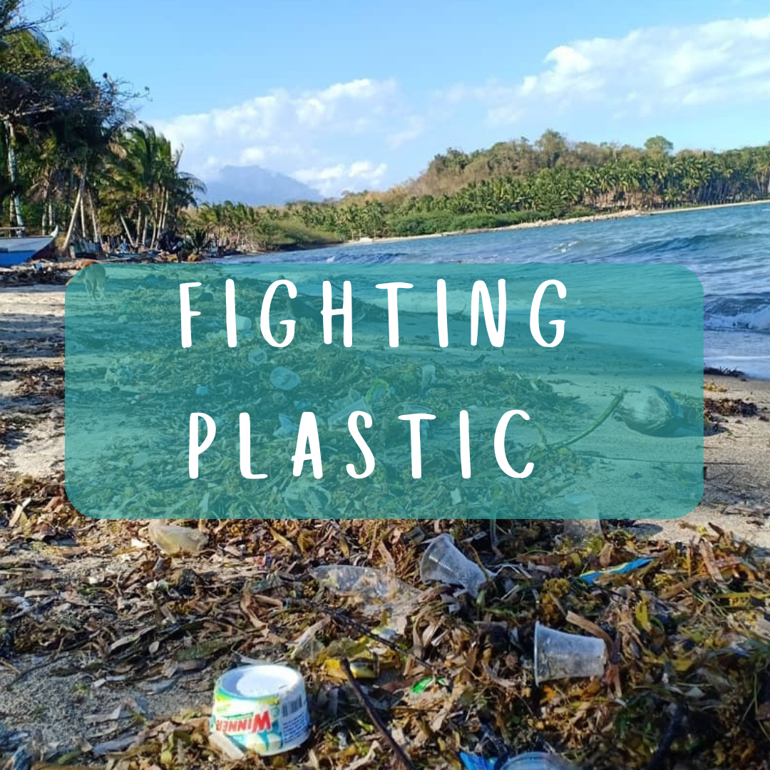 Coral reef conservation project in Bali